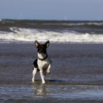 IMG_7425-Enhanced-NR