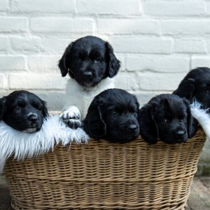 480475939_1167156944933972_7177694092855781568_n