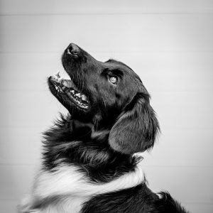 480672443_1167936704855996_8939945786424122447_n