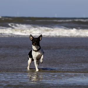 IMG_7425-Enhanced-NR