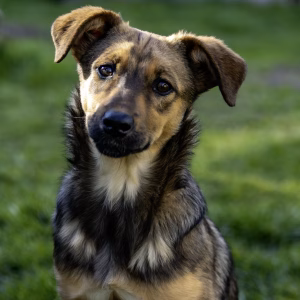 _MG_0113-Enhanced-NR